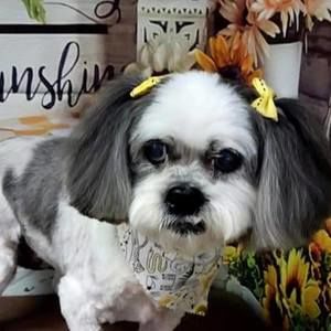 Meet your Posher, Cc